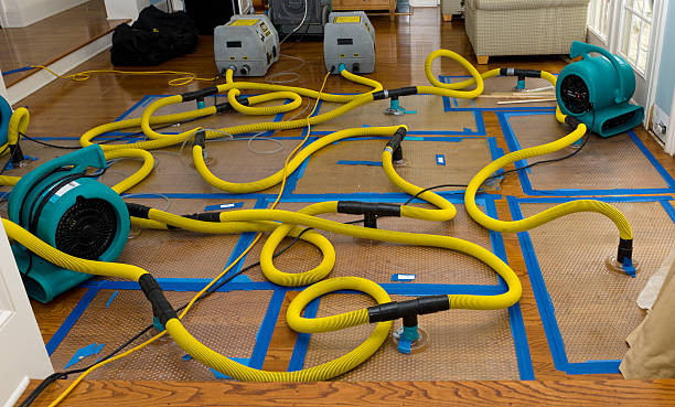 Professional Water Damage Restoration technician working in Catawba, SC